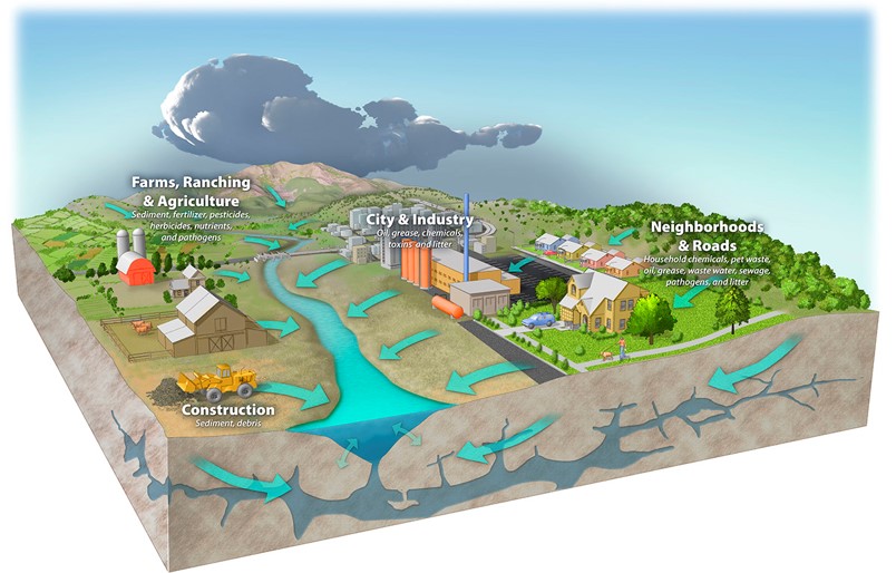 Water cycle graphic